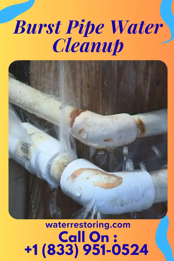 Burst Pipe Water Cleanup in Paulsboro, NJ