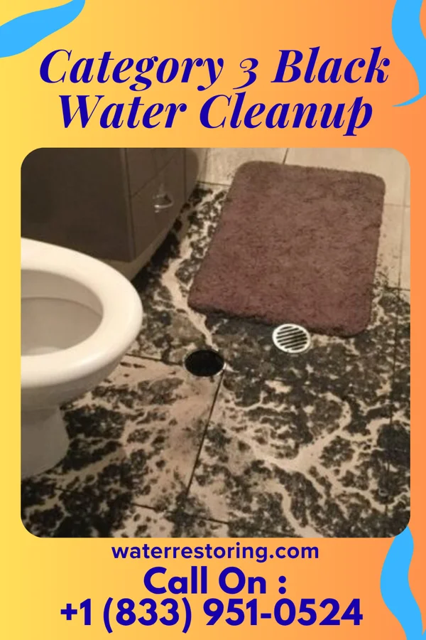Category 3 Black Water Cleanup in Paulsboro, NJ