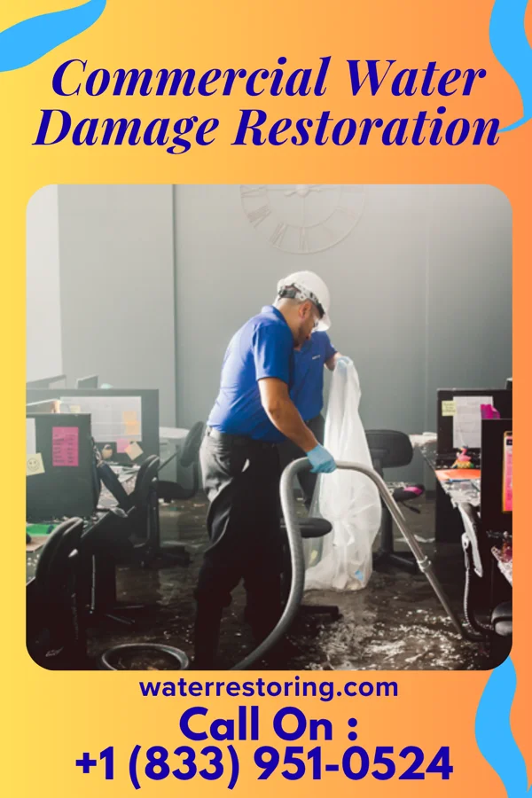 Commercial Water Damage Restoration in Paulsboro, NJ
