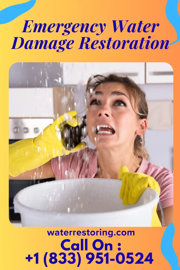Emergency Water Damage Restoration in Paulsboro, NJ