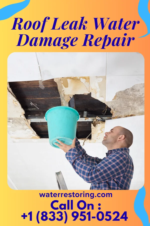 Roof Leak Water Damage Repair in Paulsboro, NJ