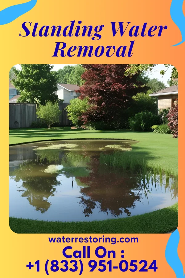 Standing Water Removal in Paulsboro, NJ